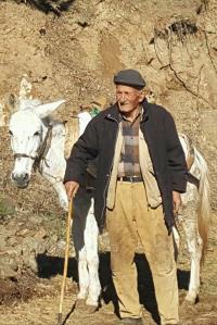 Ahmet Demirci